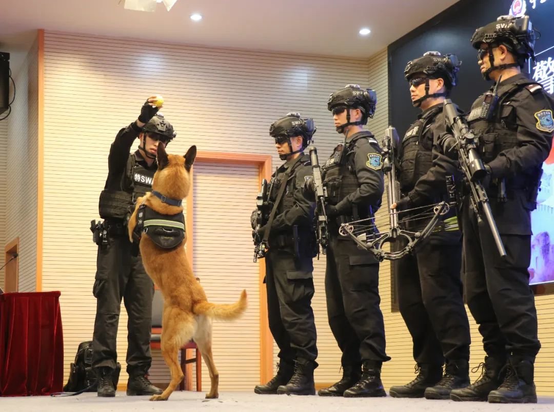 升旗仪式安全讲座共同感受宁波特警开学第一课震撼场面