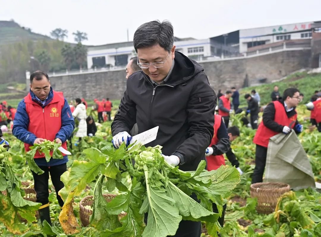 涪陵地委书记图片