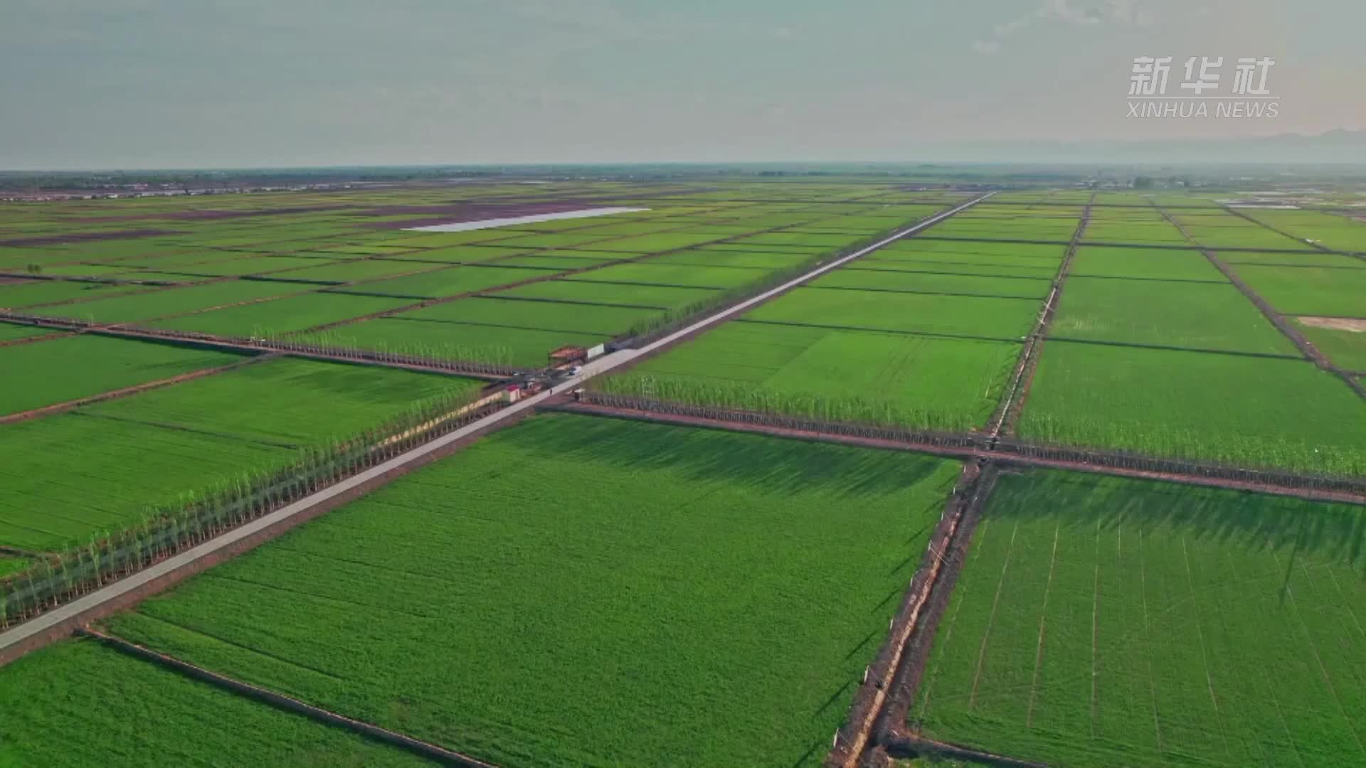内蒙古已建成近5000万亩高标准农田