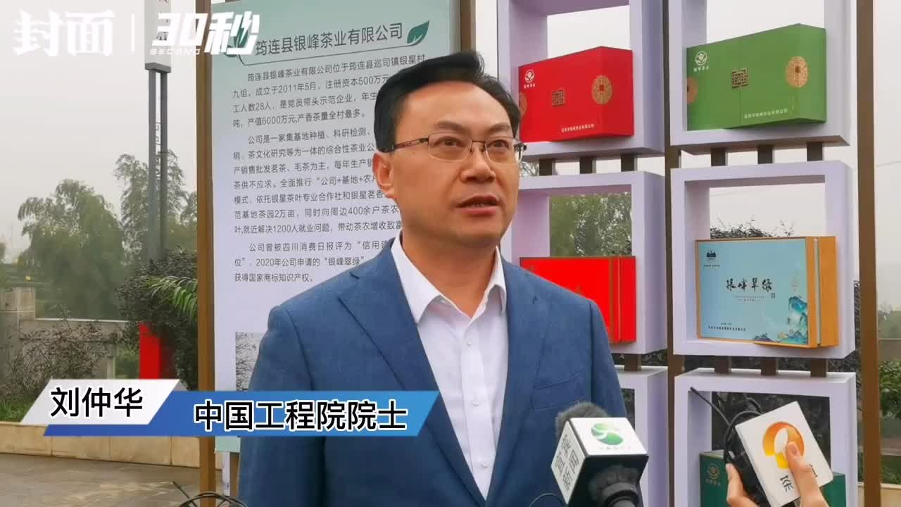 30秒｜中国工程院院士刘仲华：早春的第一缕茶香来自四川宜宾 令人心旷神怡