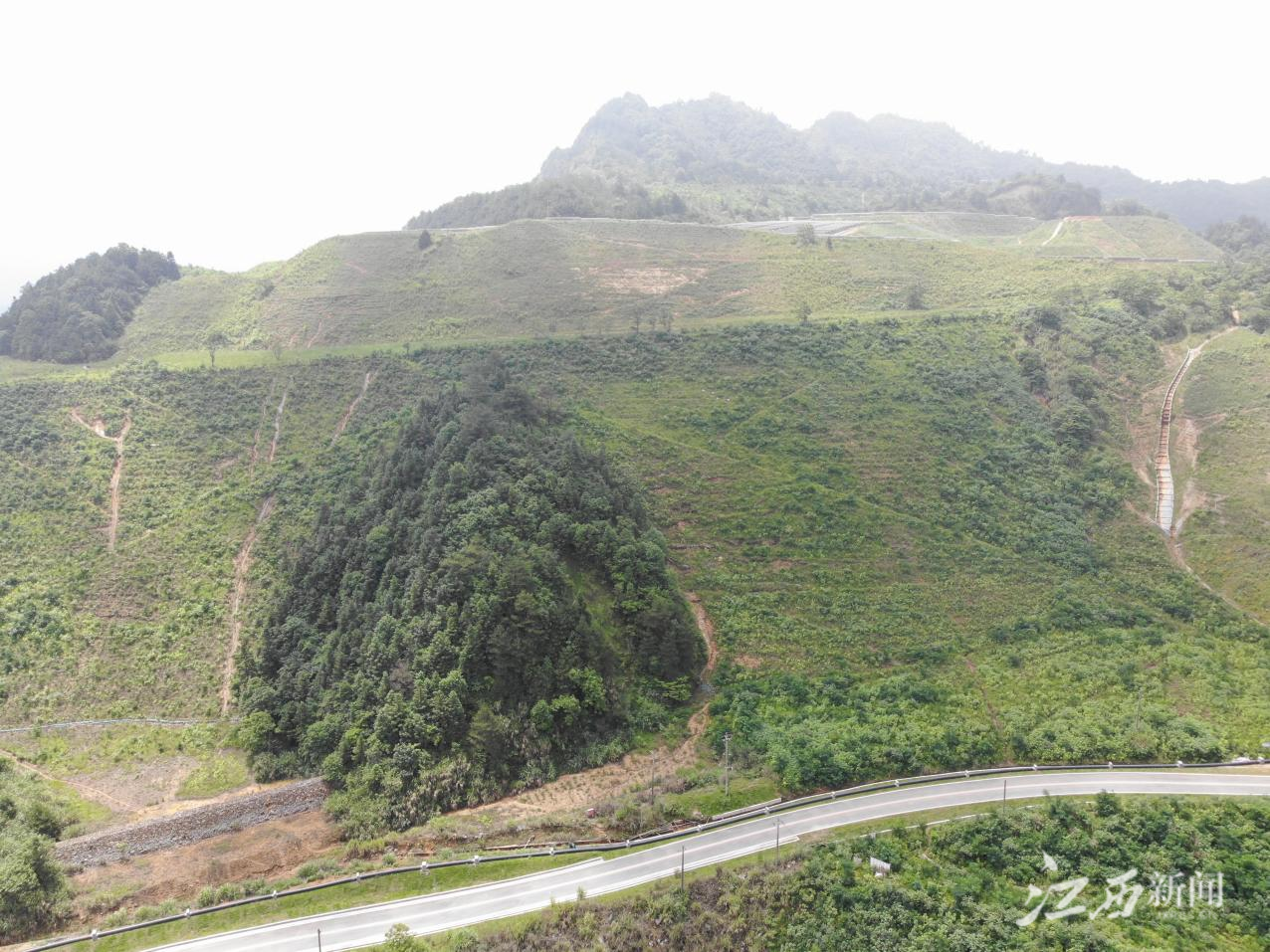 ▲永平铜矿西北部排土场生态修复后