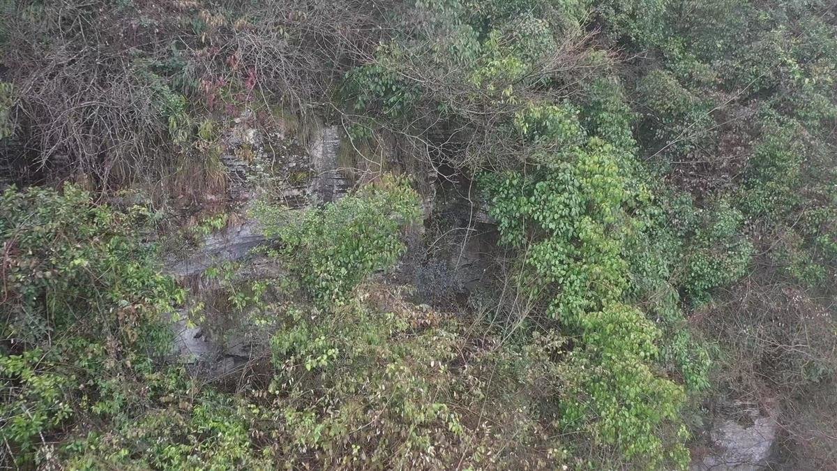 刘某富藏身的山洞外林木密布