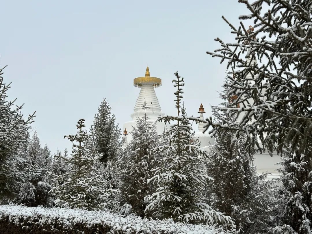 凉州会盟 700年前重塑中华版图的一次"双向奔赴"