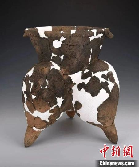 发现遗物有陶器、石器、骨器、玉器、蚌器等。 山西省考古研究院供图 发现遗物有陶器、石器、骨器、玉器、蚌器等。 山西省考古研究院供图