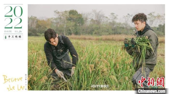 回归真实田园劳作互动纪实综艺《种地吧》见证乡土传承
