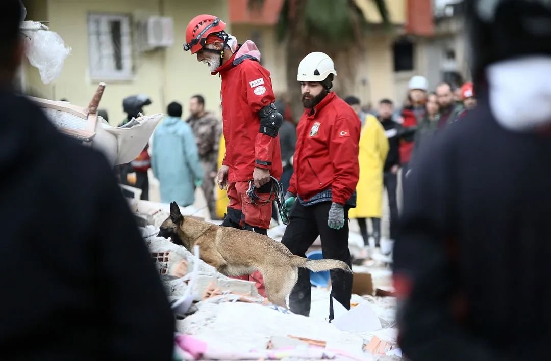唐驳虎:土耳其地震大灾,祸根在2018年就埋下了?