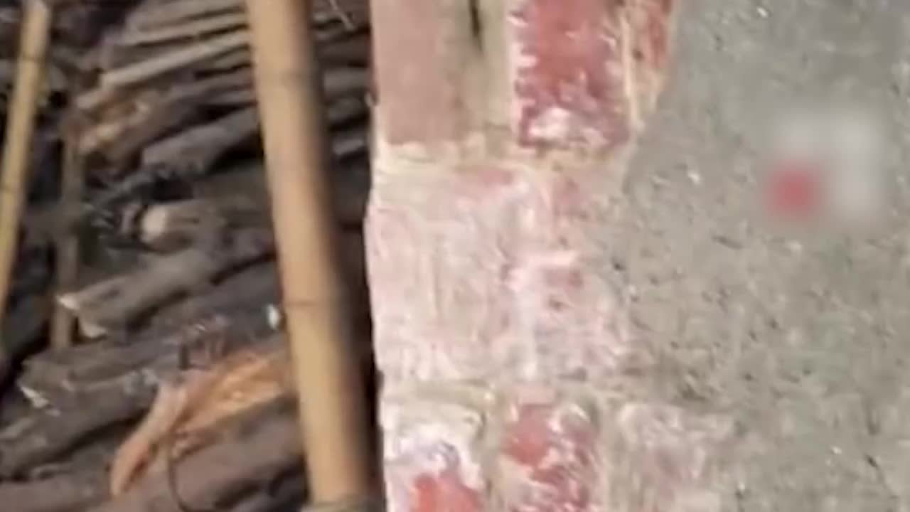 爷爷去世给奶奶留满屋整齐柴火