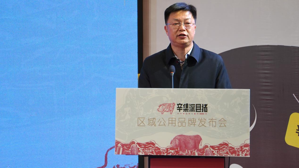 （辛集市委常委、统战部长刘宁）