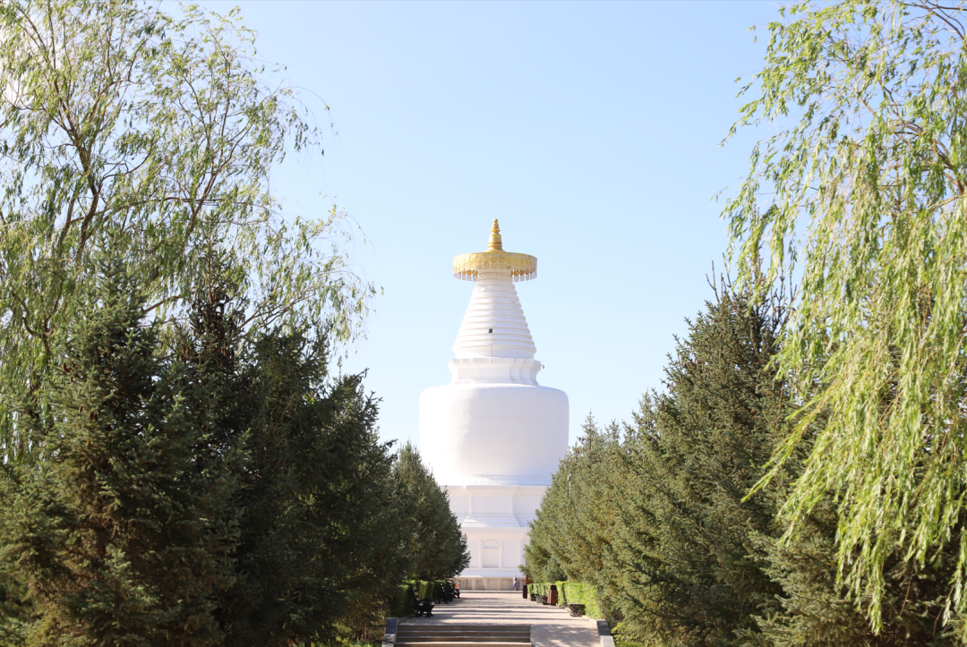 凉州会盟 700年前重塑中华版图的一次"双向奔赴"