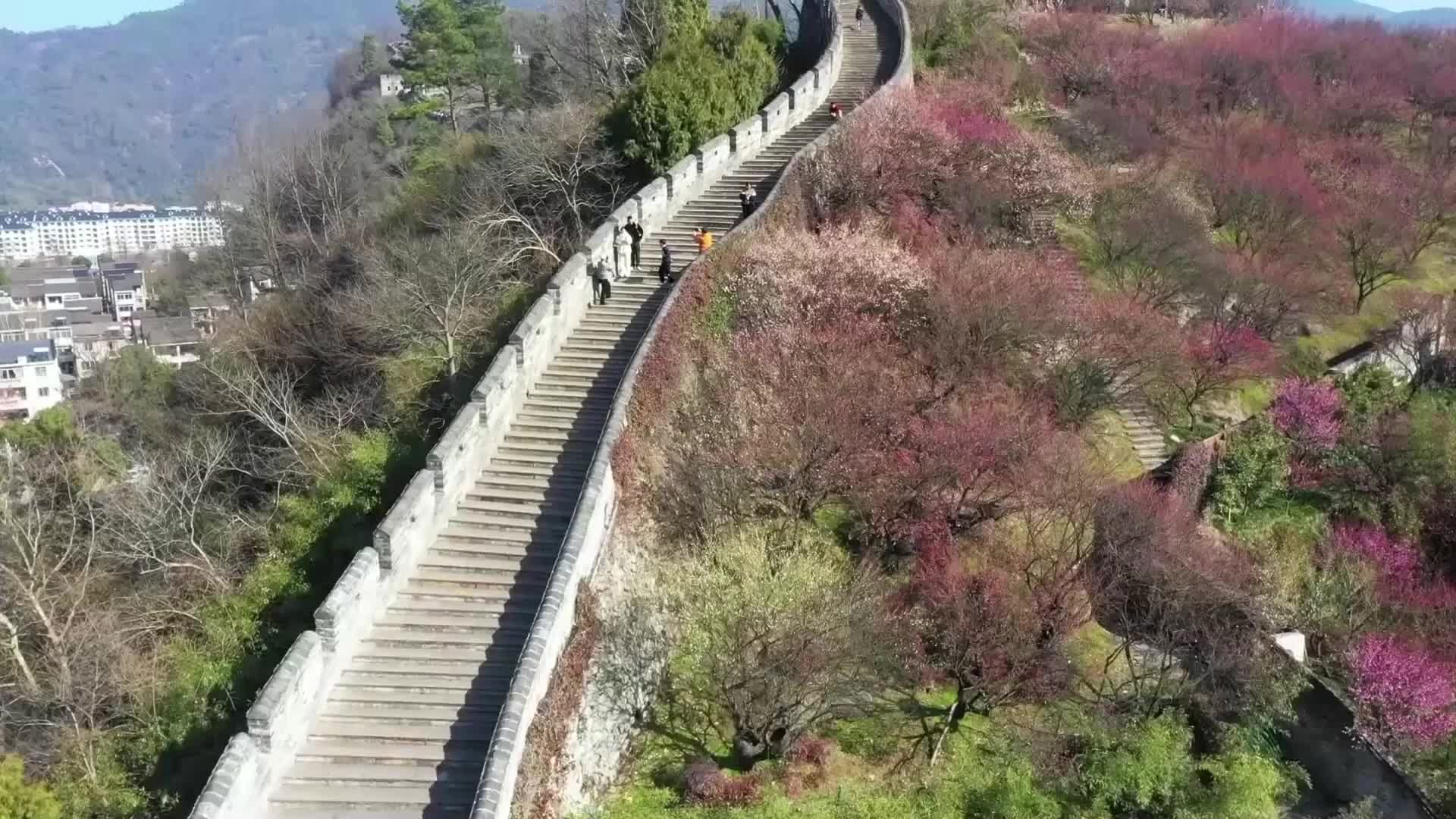 瞰中国｜浙江台州：又到古城梅花绽放时