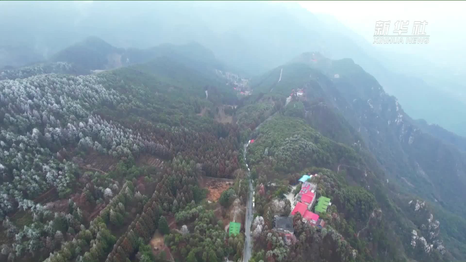 倒春寒后　庐山现“冬山如玉”美景