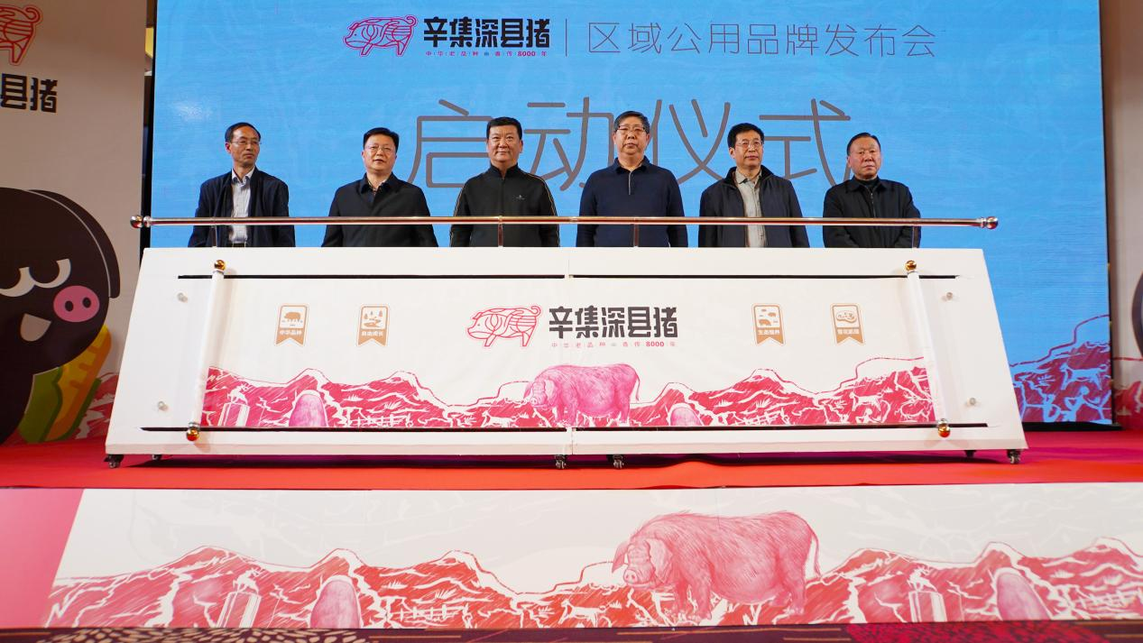 “中华老品种，香传8000年”辛集深县猪区域公用品牌成功发布