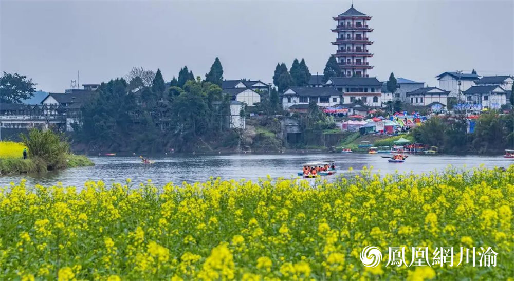 潼南陈抟故里景区油菜花盛开。 凤凰网川渝发（资料图）