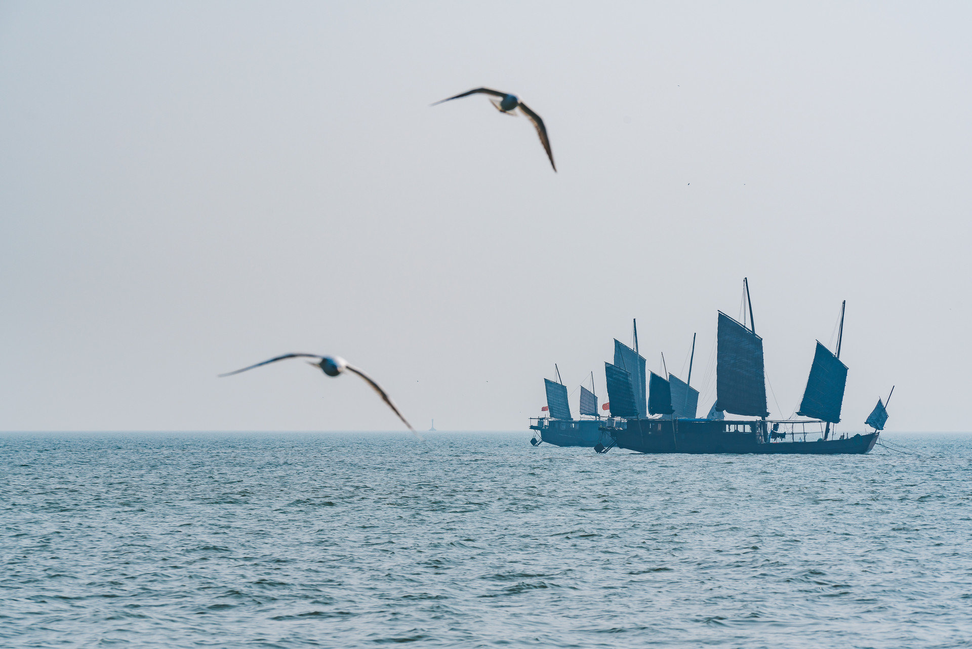 新吴区委书记崔荣国率团赴珠海开展产业交流对接活动