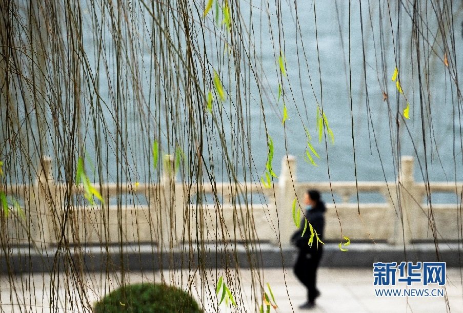 2月11日，游客在安康市汉滨区汉江公园散步。赵华斌 摄