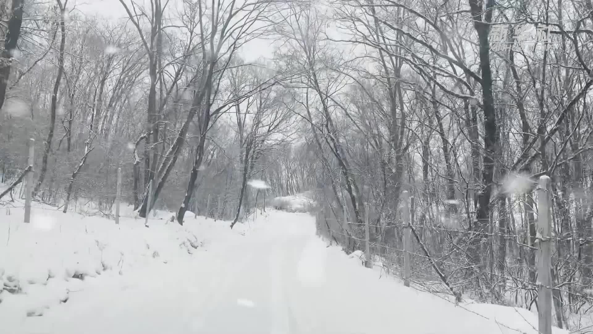 护林员魏树伟：一片丹心护青山