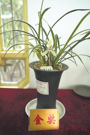 获评金奖的春兰