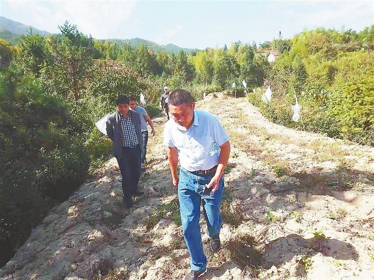 工作人员查看被野猪拱毁的田地。 江西日报全媒体记者 付强摄