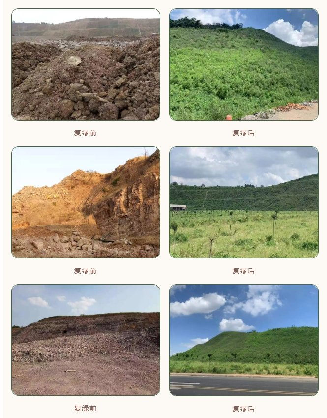 截图自“江阴发布”公众号。