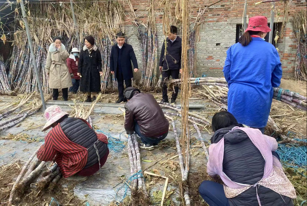 息县:倾情爱心助农和温暖客户“组合拳”