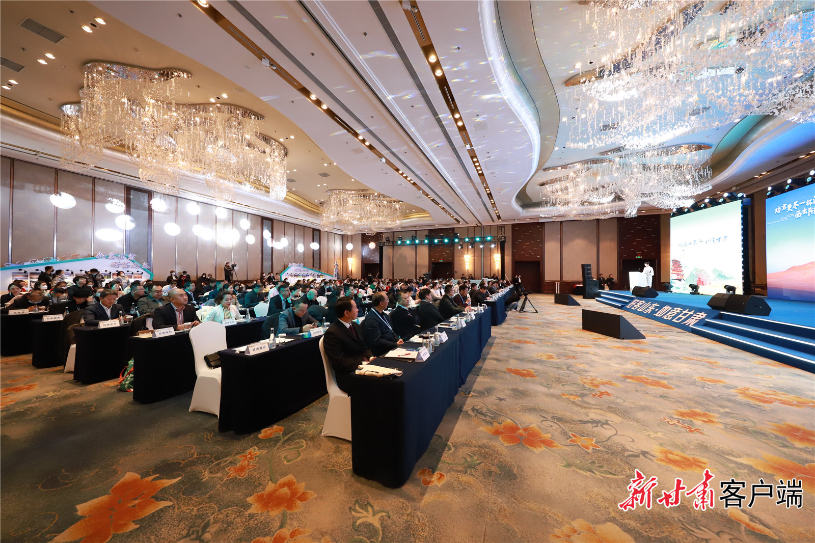 青岛推介活动现场