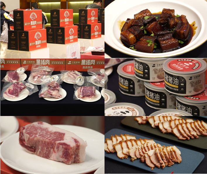 “中华老品种，香传8000年”辛集深县猪区域公用品牌成功发布