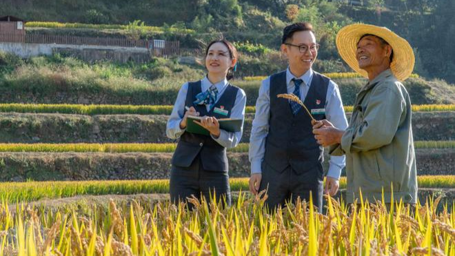 政能亮｜2023年中央一号文，乡村振兴的方法论纲要