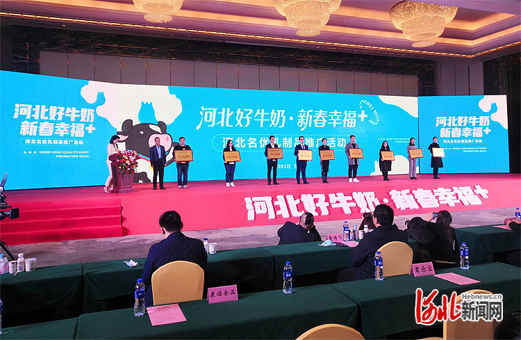 图为活动现场 河北日报记者郝东伟摄