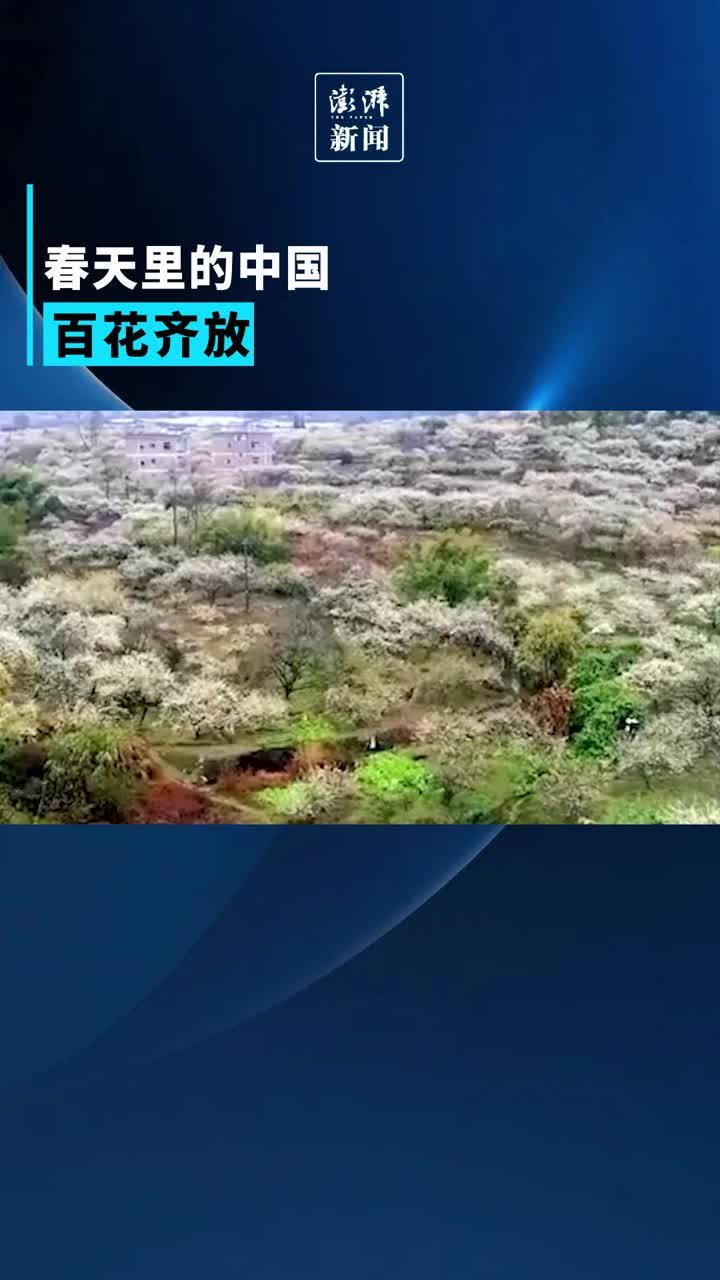 春天里的中国，百花齐放