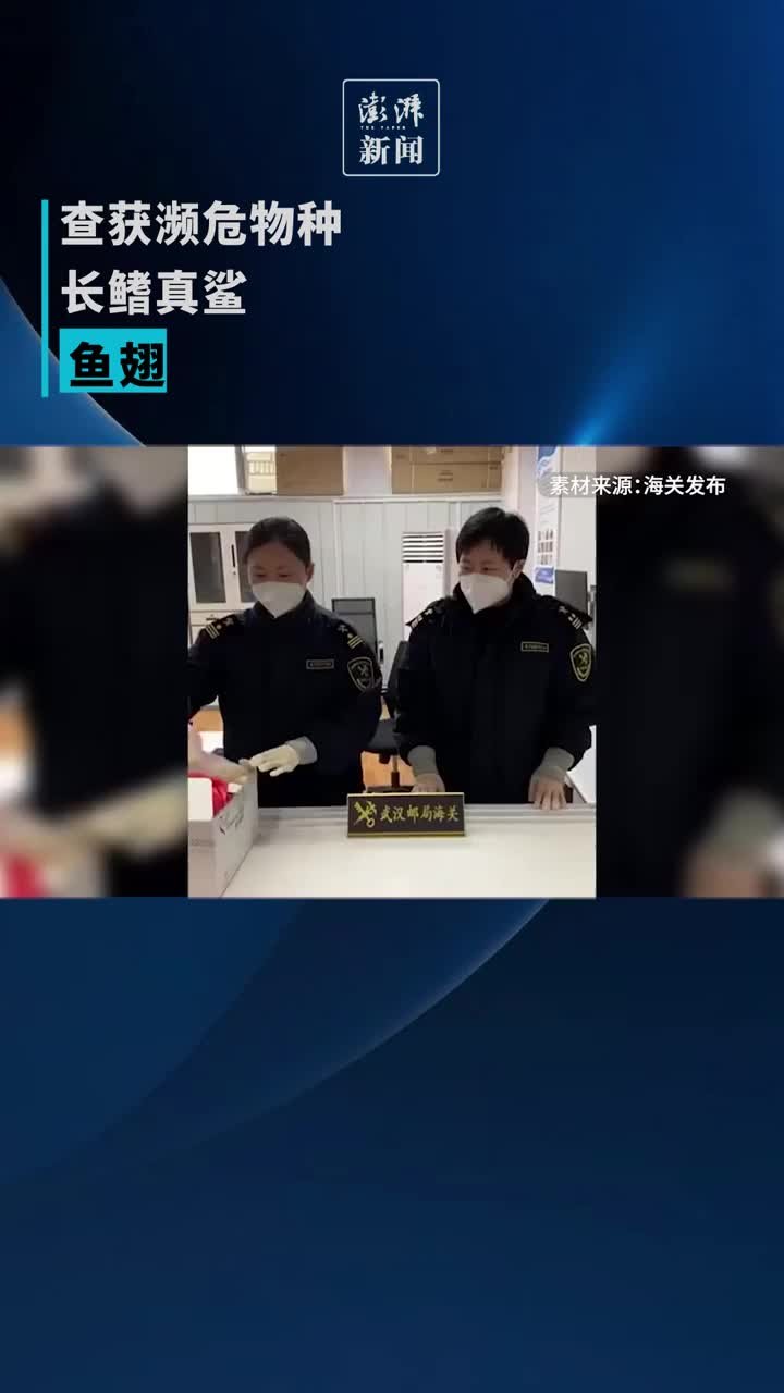 海关查获濒危物种长鳍真鲨鱼翅