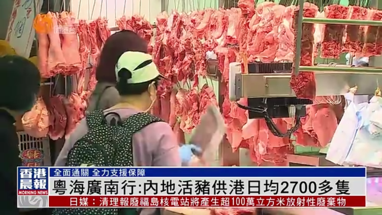 粤语报道｜粤海广南行：内地活猪供港日均2700多只