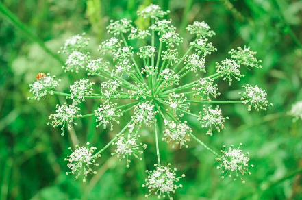 △图片源自视觉中国