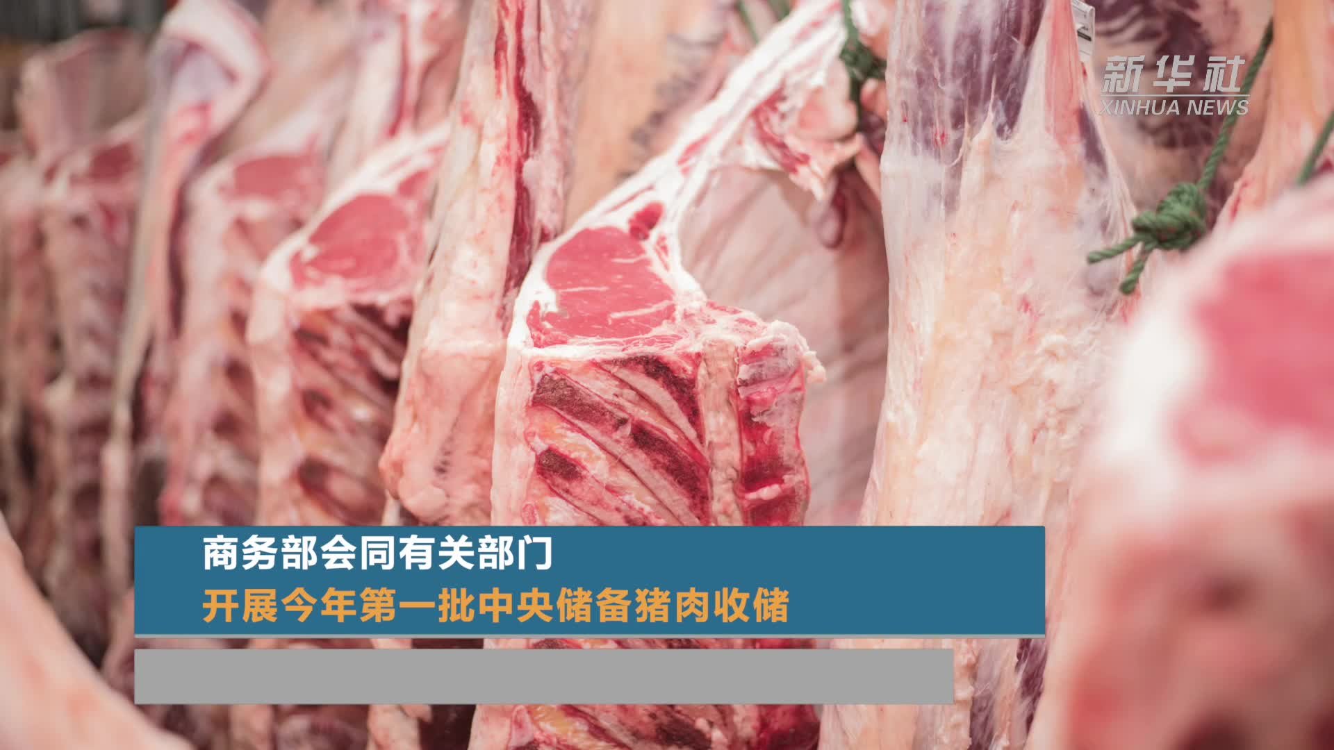 猪肉香膏 成都 蓝新-食品商务网