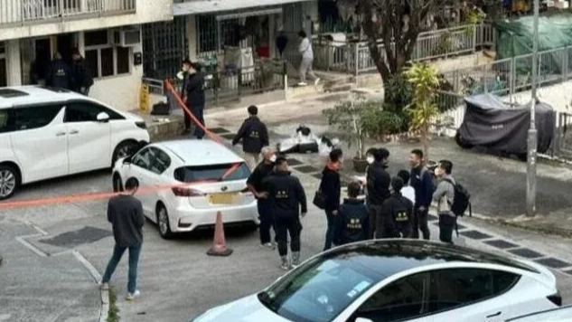 身家过亿的香港名媛蔡天凤遭残忍碎尸 警方：凶犯早有预谋