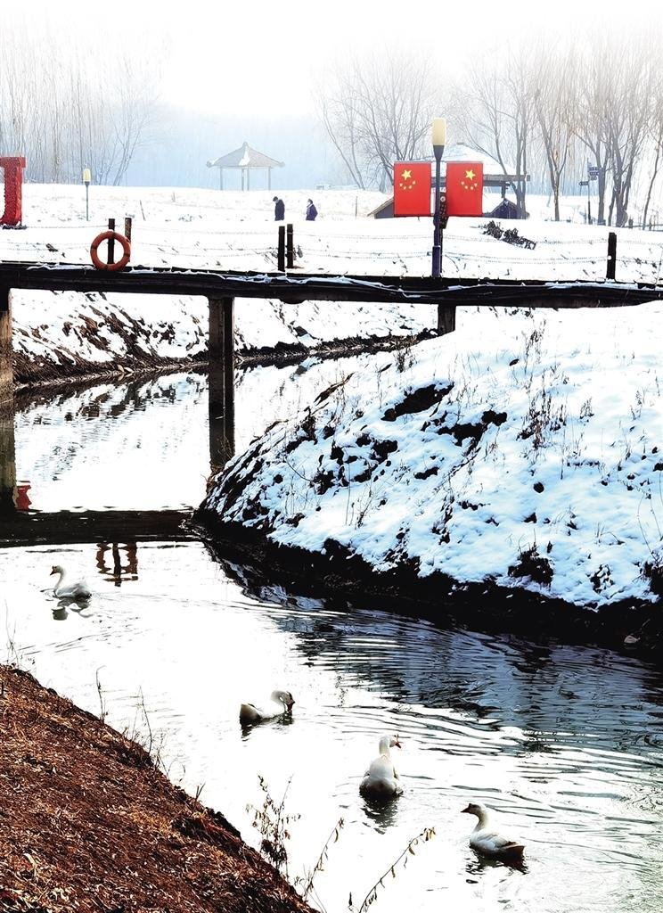 河道治理为候鸟栖居提供了良好的水文环境 □肖洁 摄