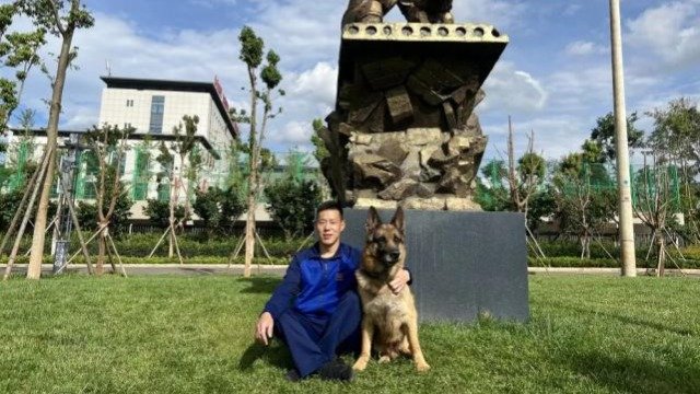 为了让“狼仔”成为一只合格的搜救犬，训导员花了不少心思和它搞好关系