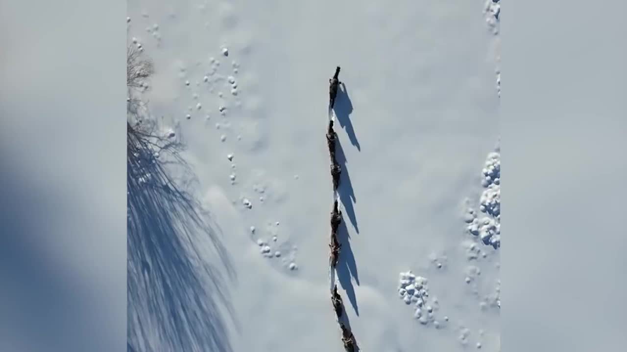 边防官兵骑马踏雪巡边关