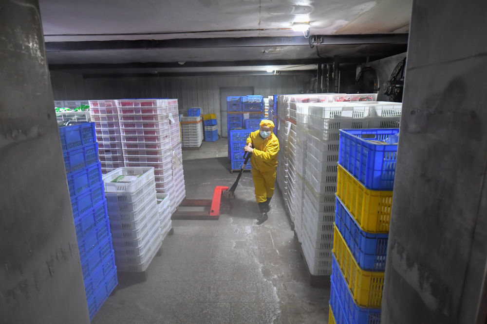 2月24日，浏阳市省级农业科技园区一家预制菜企业工作人员在冷库搬运预制菜成品。