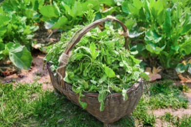 △图片源自视觉中国