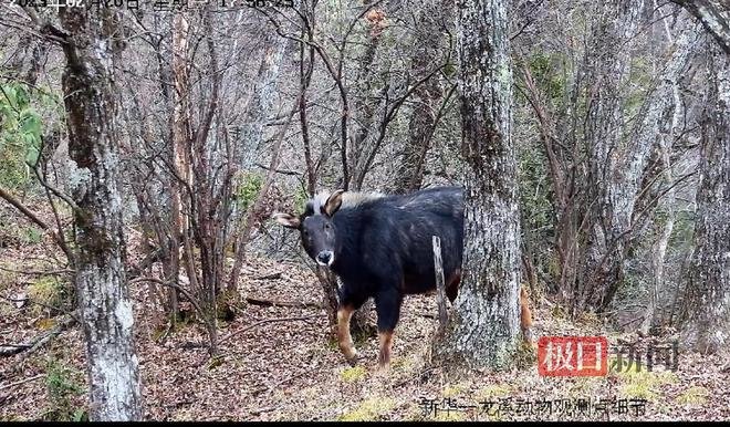 相机影像(通讯员供图)