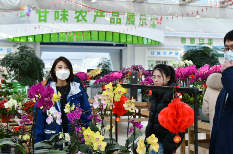 境外媒体采访团成员调研采访兰州新区花卉交易中心