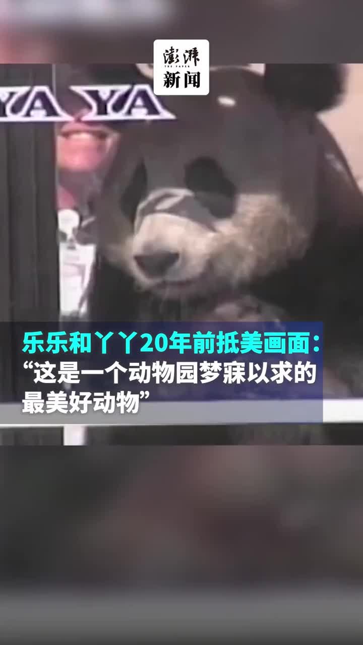 大熊猫“乐乐”和“丫丫”20年前抵达美国的画面