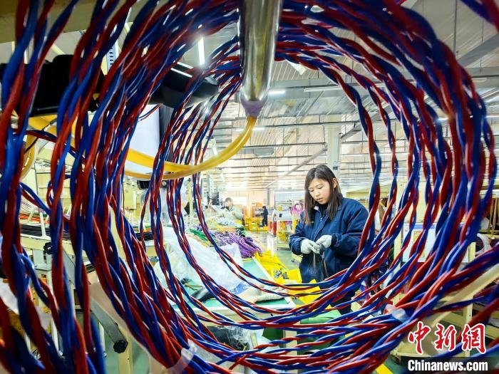 在菏泽市牡丹区王浩屯镇返乡创业园，村民变身产业工人加工汽车用线束。　菏泽市牡丹区宣传部供图
