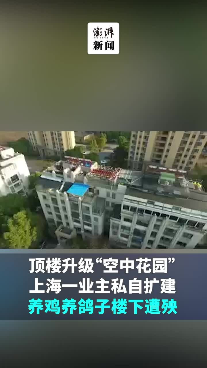 顶楼升级空中花园？上海一业主私自扩建，养鸡养鸽子楼下遭殃