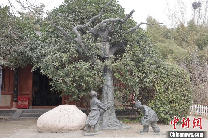 图为杜甫《百忧集行》中“庭前八月梨枣熟，一日上树能千回。”场景复原 王迪 摄