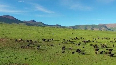 格萨尔的英雄草原：草原英雄（上）
