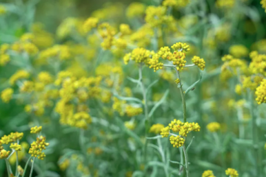 △图片源自视觉中国