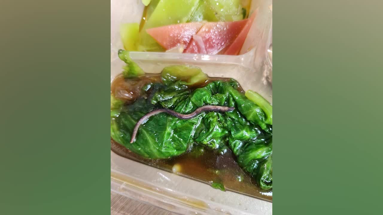 医院食堂盒饭吃出蚯蚓和苍蝇？营养科：事发时已处理