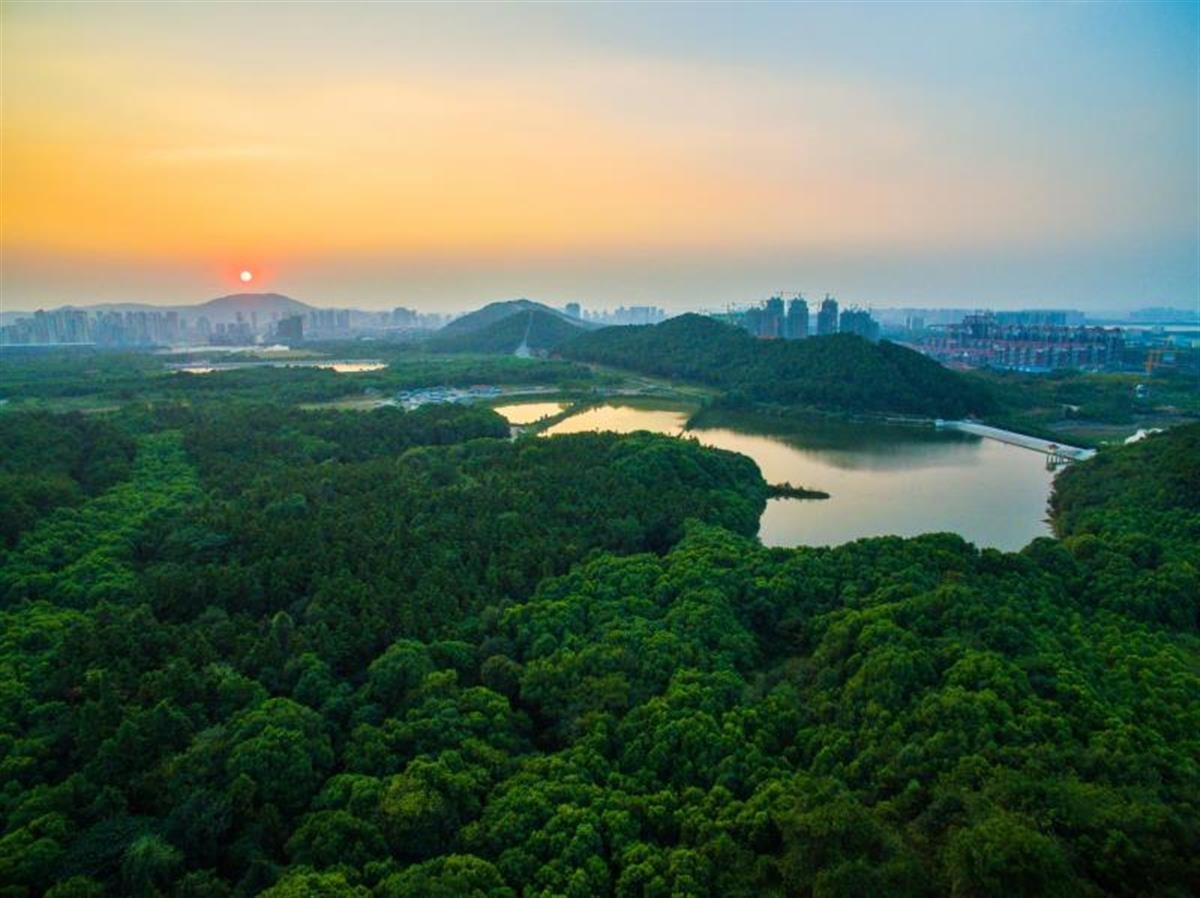 环球快资讯丨冲刺“千园之城”，武汉将新改建各类公园100座