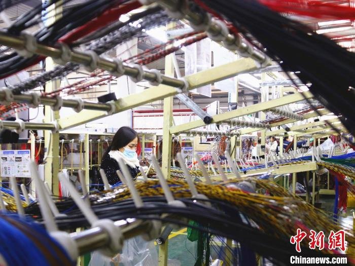 在菏泽市牡丹区王浩屯镇返乡创业园，村民变身产业工人加工汽车用线束。　菏泽市牡丹区宣传部供图